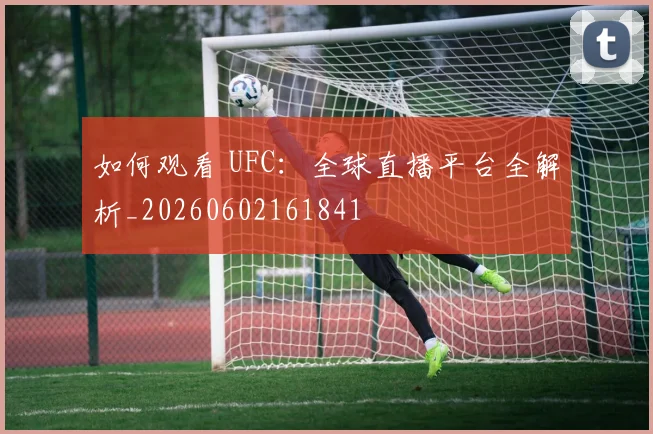 如何观看 UFC：全球直播平台全解析_20260602161841