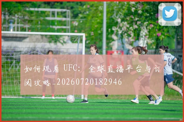如何观看 UFC：全球直播平台与订阅攻略_20260720182946