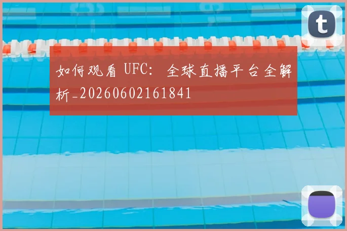 如何观看 UFC:全球直播平台全解析_20260602161841